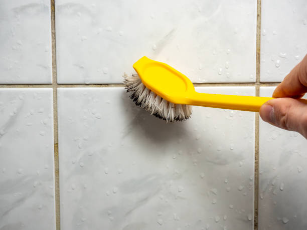 Mold Testing and Removal in Lake Carmel, NY