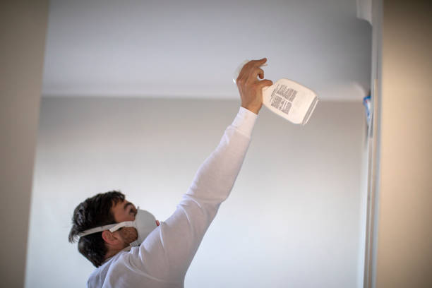 Home Mold Removal in Lake Carmel, NY