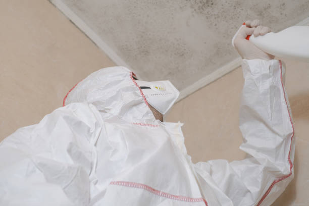 Mold Removal and Inspection in Lake Carmel, NY